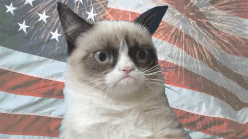 NewsFlash - Grumpy Cat