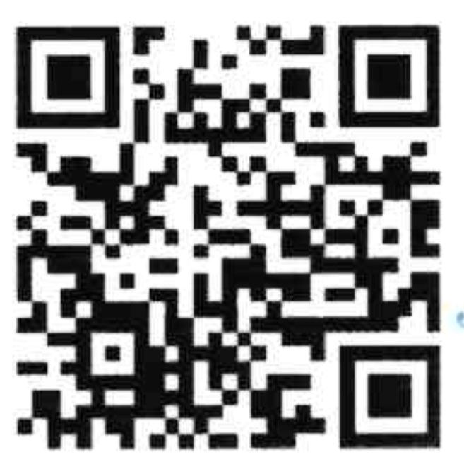 court pay online QR